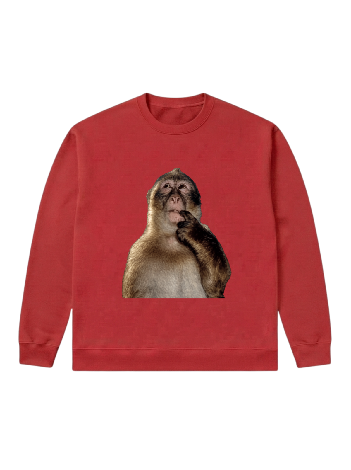Monkey thinking - Sweatshirt